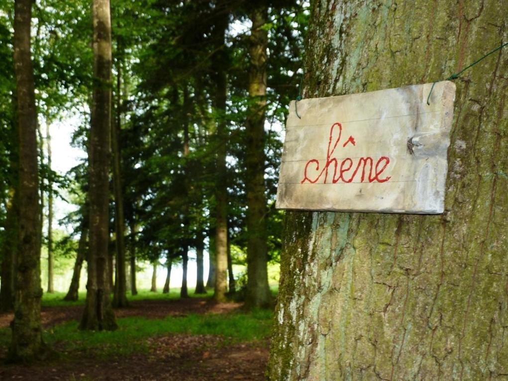 Chambres D'Hotes La Corne Aux Vaches Frétigney-et-Velloreille Exterior foto