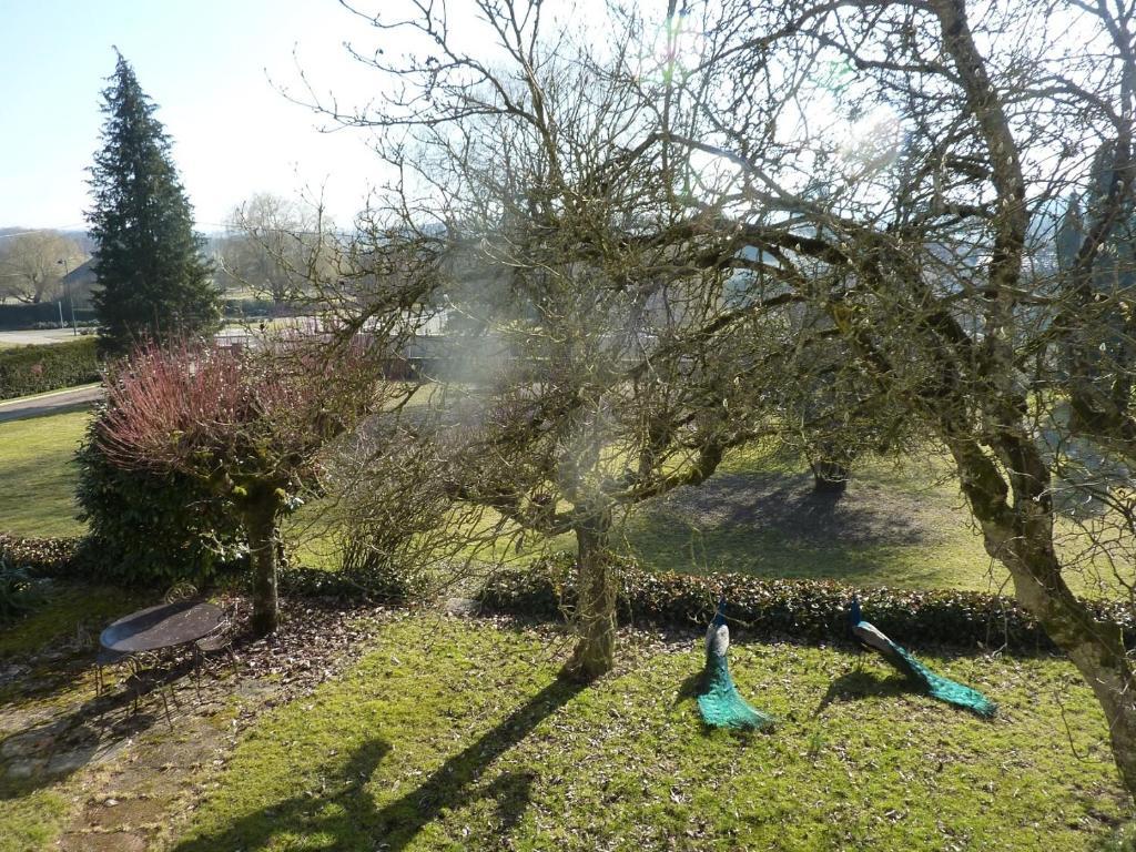 Chambres D'Hotes La Corne Aux Vaches Frétigney-et-Velloreille Exterior foto